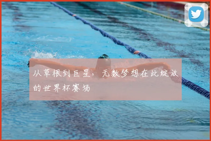 从草根到巨星，无数梦想在此绽放的世界杯赛场